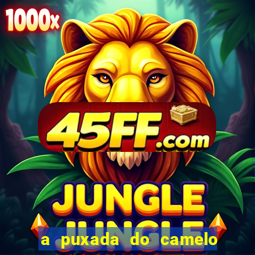 a puxada do camelo no jogo do bicho